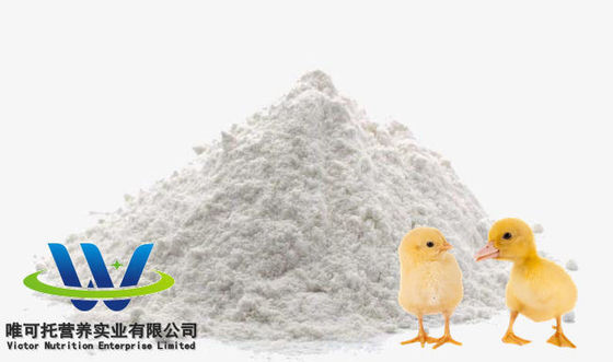 L'hydrochlorure de L-lysine CAS no 657-27-2 Grade d'alimentation pour animaux de compagnie