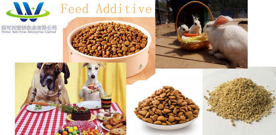 Améliorer la production d'aliments pour animaux avec des additifs L-lysine Produit 5000 tonnes/mois Poudre