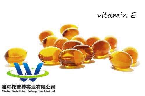 Précautions naturelles pour la peau Formule C31H52O3 98% Dl-Alpha Tocopheryl Acétate Zmc GMP Huile de vitamine E
