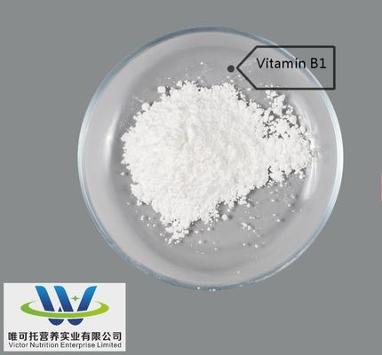 Certifié QS Vitamine B1 Mono Thiamine Nitrate CAS 532-43-4 avec service de personnalisation