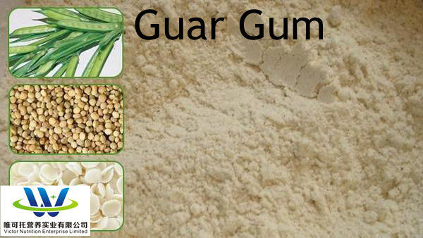 Améliorez vos boissons avec des fibres Finition en vrac Food Garde Guar Gum 99% pureté