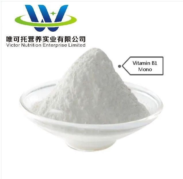 Certifié QS Vitamine B1 Mono Thiamine Nitrate CAS 532-43-4 avec service de personnalisation